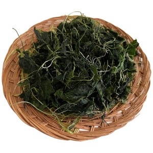 굳드림 건취나물, 100g, 1개