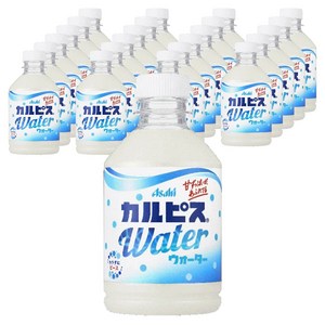 칼피스 워터 페트, 280ml, 24개