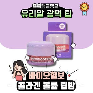 [스파출라 증정] [콜라겐탱글립] 바이오힐보 프로바이오덤 콜라겐 볼륨 립밤 15ml / 바이오힐보립밤 바이오힐보프로바이오덤 볼륨립밤 콜라겐볼륨립밤, 콜라겐 볼륨 립밤 + (증정)스파출라, 1세트, 립밤 + 스파출라 증정