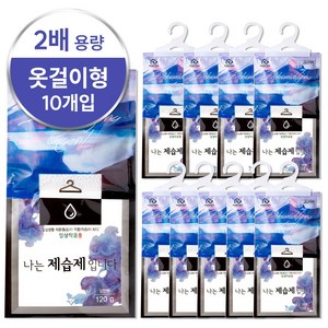홈트너 옷걸이제습제 옷장제습제 옷장용 습기제거제 250g, 10개