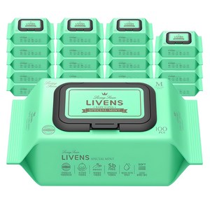 리벤스 스페셜 민트 유아물티슈 캡형, 40g, 100매, 20세트