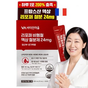 비타민마을 리포퍼 비헴철 액상 철분제 24mg 임산부 온가족 30포, 300ml, 1박스