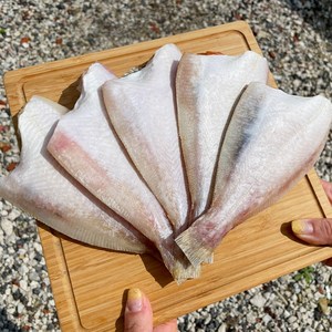 산지직송 동해안 국산 반건조 참가자미, 1개, 참가자미 대 1kg(6~9미)