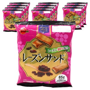 부르본 건포도 샌드 10개입