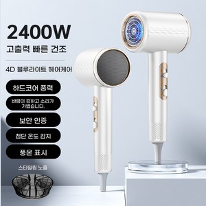 ANYOU 고출력 블루라이트 케어 헤어 드라이기 파워풍량 2400W 가정용 저소음 휴대용