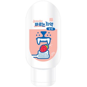 브리더 강아지 고양이 겸용 바르는치약 딸기향 100g, 1개