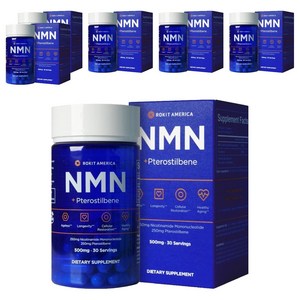 로킷아메리카 NMN + 프테로스틸벤 500mg 캡슐, 60정, 6개