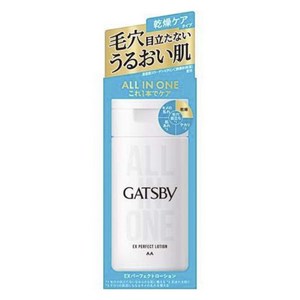 갸스비 올인원 EX 퍼펙트 로션