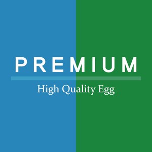 프리미엄 계란 청란 백공오골계란 유정란 난각번호2번 HACCP 무항생제 당일산란 달걀, 1개, 30구