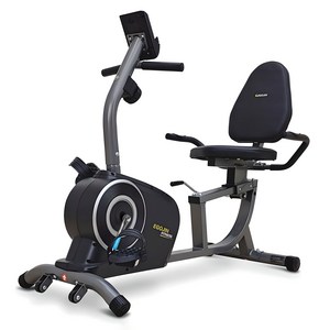 이고진 좌식 실내자전거 806R