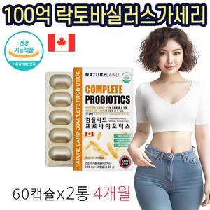 옵션선택) BNR17 유산균 비에날씬 가세리 다이어트 / 500억투여 락토바실러스가세리 프로바이오틱스 프락토올리고당 장건강 캐나다 항공직송 특수캡슐 식약처인증 건강기능식품 내일건강, 2개, 60캡슐