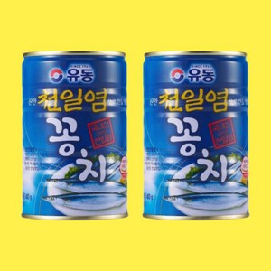 유동 천일염 꽁치 400g 2캔, 2개