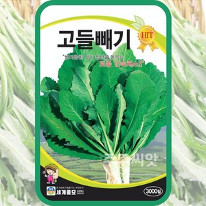 모칸도 세계고들빼기 3000립, 1개