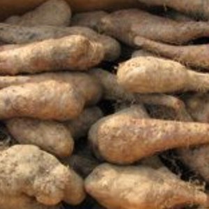 안동특산품 아삭한 안동마 산마 참마 못난이 알뜰실속형 2kg 3kg 5kg, 1개