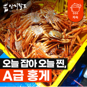 [산지팔도] 동해안 제철 홍게 찜 자숙 박달 연지홍게 100% 품질보증, 1박스, 온가족 실속형 연지홍게 5kg (15미내외)