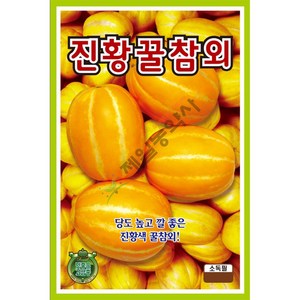 진황꿀참외 50립 24년 참외씨앗 참외종자, 1개