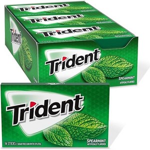 Trident 트리덴트 스피아민트향 무설탕 자일리톨껌 14개들이 15팩, 1개