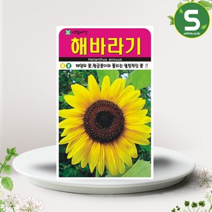 솔림텃밭몰 해바라기씨앗 50립 꽃씨앗 해바라기 꽃씨, 1개