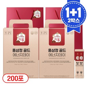 1+1 홍삼정 골드 6년근 프리미엄 100회분 대용량 쇼핑백 선물세트 에너지데이