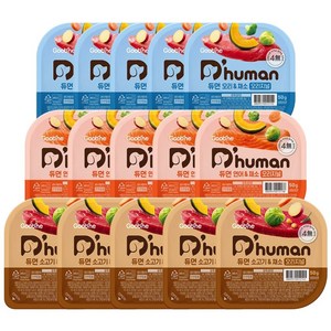 듀먼 강아지 화식 용기형 세트 (냉동), 오리 + 채소 혼합맛, 연어 + 채소 혼합맛, 소고기 + 채소 혼합맛, 50g, 15개