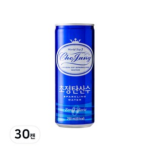 초정탄산수, 250ml, 30개