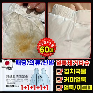 일본기술 [1+1+1+1+1] 패딩 얼룩 제거 화장품 지우는 물티슈 의류 얼룩 제거제 패딩 오염 김치 국물 기름 얼룩 제거 패딩 크리너 휴대용, 12개입, 5개