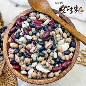 힘찬농부오달봉 수입 혼합콩 9종 오색혼합콩, 1개, 3kg