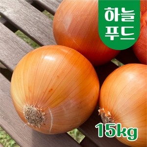 (15kg/망) 수입 양파 식자재 피양파, 1개