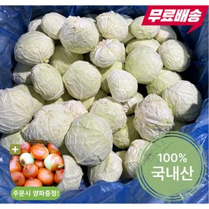 프레니쉬 달고 아삭한 국내산 양배추(6kg/9kg내외 1BOX), 6kg, 1박스