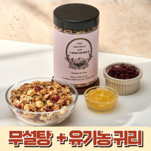 수제 무설탕 식이섬유 단백질 요거트 그래놀라 크랜베리앤애플잼 250g, 1개