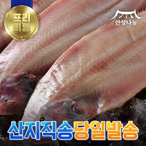 [특가할인] 군산 박대 서대 구이용 조림용 해풍건조 명품 제수용 말린 반건조생선, 박대 37cm 내외, 8개