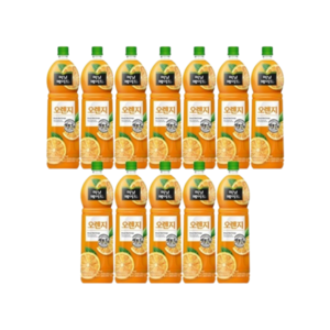 미닛메이드 오렌지 1.5L x 12PET, 12개