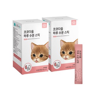 코코다움 하루 수분 스틱 고양이 신장 영양, 2박스