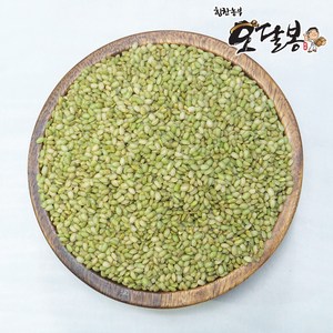 힘찬농부 국산 녹미 녹진주 녹색쌀, 1개, 4kg(2kg+2kg)