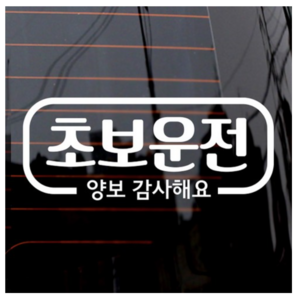 제제데코 심플라인 초보운전 스티커, 반사, 1개