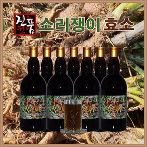 장녹원 소리쟁이효소 1100ml, 1.1L, 1개