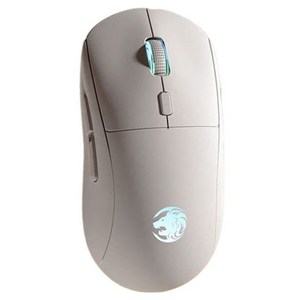 이와든 G301 듀얼 모드 무선 게이밍 마우스