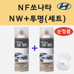 순정품 현대 NF쏘나타 NW 노블화이트 스프레이 페인트 + 투명스프레이, 1개