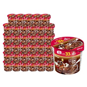 첵스초코 오곡 컵 시리얼, 40g, 36개