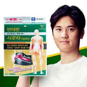 반테린코와서포터 가압허리보호대 의료기기, 1개