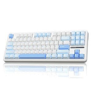 AULA F87 RGB 기계식 3모드 키보드