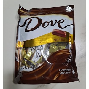 도브초콜릿 밀크, 228g, 1개