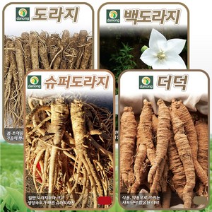 도라지 씨앗 3종 + 더덕 씨앗 1종 4종 세트 민속 채소씨 종자, 단품