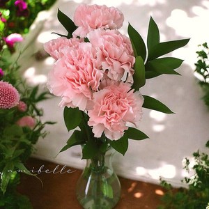 [아미밸르 꽃]생화 카네이션 꽃 다발 선물 감사 어버이날 스승의날 택배, 랜덤+포장, 1개