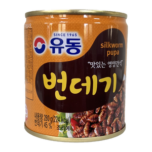 유동 번데기 통조림, 280g, 6개