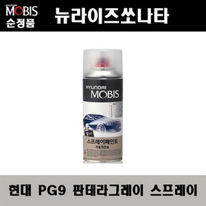 순정품 현대 뉴라이즈쏘나타 PG9 판테라그레이 스프레이 자동차 차량용 도색 카페인트, PG9 판테라그레이 스프레이(모비스), 1개