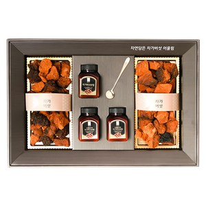 해맑음 차가버섯분말 선물세트