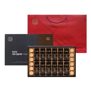 한삼인 홍삼 대보 선물세트 2호 + 쇼핑백, 1개