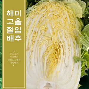 HACCP 인증받은 해남 절임배추 10kg 20kg / 최서방 절임배추 / 해미고을 절임배추