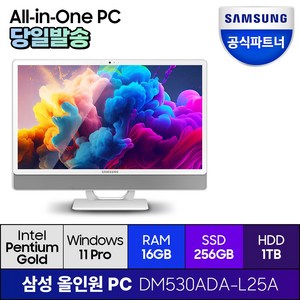 삼성전자 올인원 일체형 PC 프로스트 화이트 DM530ADA-L25A (펜티엄골드 7505 60.5cm WIN11 Pro) 기업용 사무용 학습용